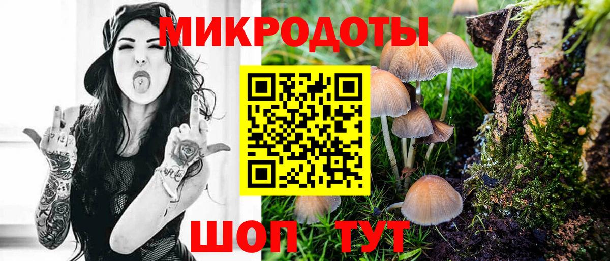 Галлюциногенные грибы мухоморы Альметьевск