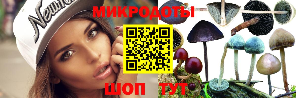 Псилоцибиновые грибы Psilocybine cubensis  Вход с VPN  Псилоцибиновые грибы GOLDEN TEACHER  Альметьевск 